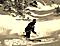 Leftyt's Avatar