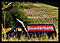 powderbank's Avatar