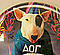 Misty_Fly's Avatar