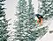 steepskier's Avatar