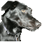 mmcpheet's Avatar