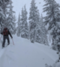 CC_skier's Avatar