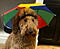 BeHuWe's Avatar