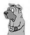 amor del burro's Avatar