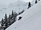 Silverton_Shane