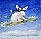 snobababunny's Avatar