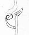 Dromond's Avatar