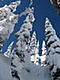 skiingislife's Avatar