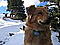 Kenai's Avatar