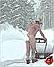 alta_freeskier's Avatar