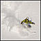 thd's Avatar