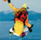 Dave Marshack's Avatar