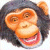 snowdreamer's Avatar