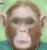 Platinum Pete's Avatar