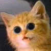 PrincessGruntyPuffs's Avatar